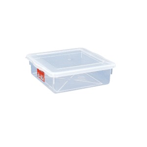 CAIXA 425 C/TAMPA (28X28X9) 4,5LTS PLEION