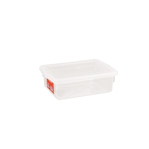 CAIXA COM TAMPA BIOPRATIKA 310 (26X18X9) PLEION