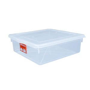 CAIXA 325 (32X32X10) 8LTS PLEION