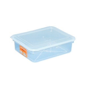 CAIXA 315 C/TAMPA(29,6X23,5X8,8) 4LTS PLEION