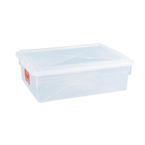 CAIXA COM TAMPA 330 (41X29X13)  PLEION